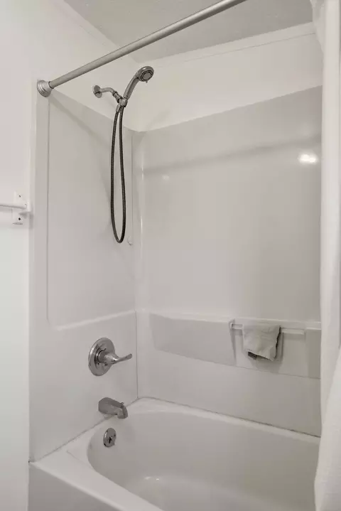 Bath - 317 E Maple, Saint Charles, MI 48655 photo 2 of 3