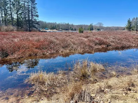 View/Area - 5401 Morrow, Gladwin, MI 48624 photo 1 of 2