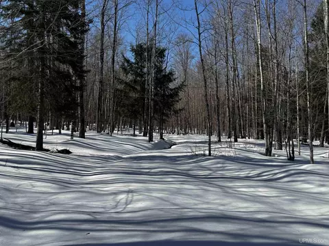 tbd Lower Skanee, Skanee, MI 49962