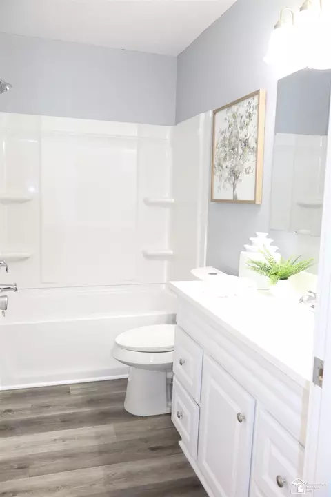 Bath - 163 E Sterns, Temperance, MI 48182 photo 1 of 2