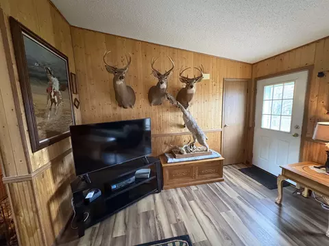 Living - 4235 Buzzell, Gladwin, MI 48624 photo 3 of 3