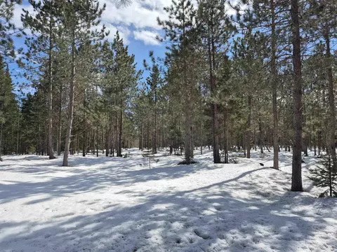 20 Acres Off Flodin, Thompson, MI 49854
