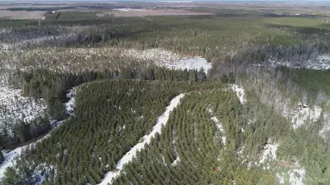 40 Acres Off Flodin, Thompson, MI 49854