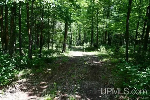 lot Apt 26 Fordville, Hardwood, MI 49834
