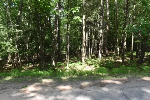 lot196 Princess, Gladwin, MI 48624