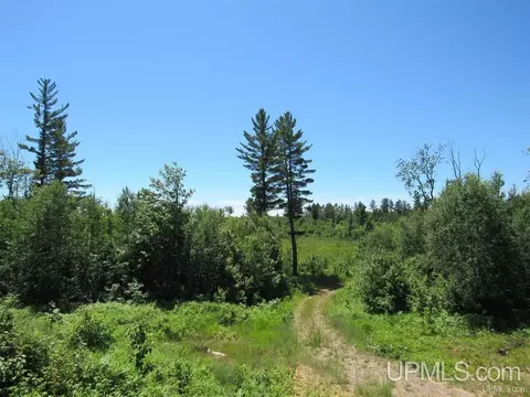 tbd Co Rd Fl, Champion, MI 49814