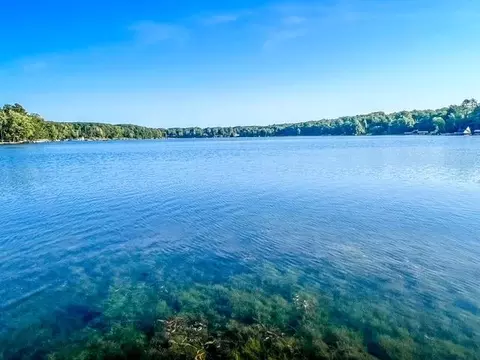 View/Area - 5388 Gronda, Harrison, MI 48625 photo 3 of 3