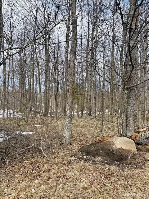 lot Apt 25 Fordville, Hardwood, MI 49834