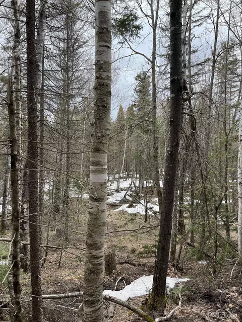 tbd Cr Aah, Ishpeming, MI 49849 photo 5