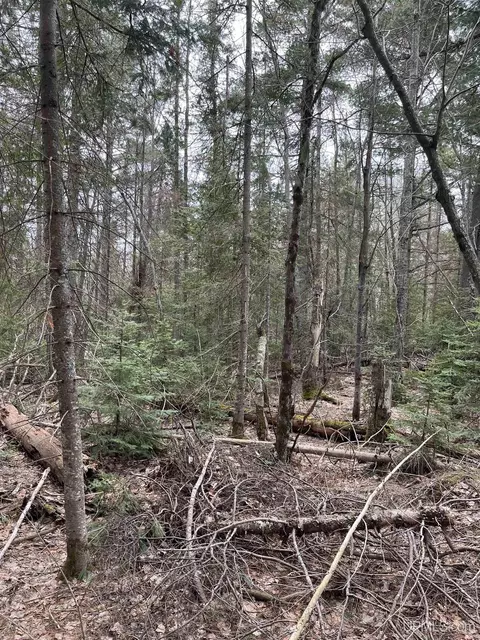 tbd Cr Aah, Ishpeming, MI 49849 photo 3