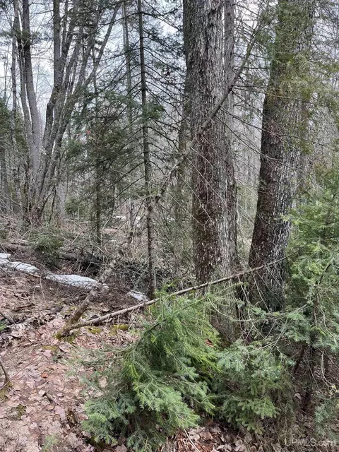 tbd Cr Aah, Ishpeming, MI 49849 photo 6
