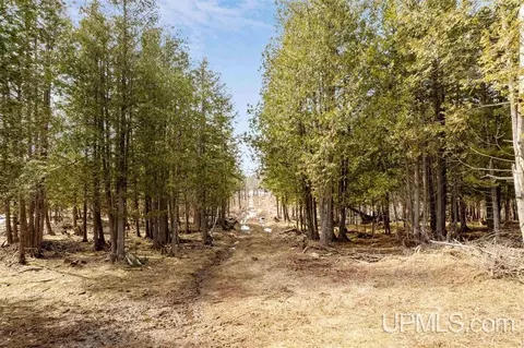W3702 Chartre, Stephenson, MI 49887 photo 5