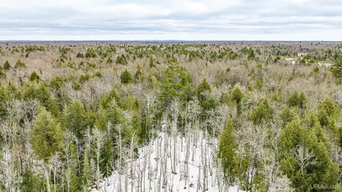 tbd Off M28 #NO LEGAL INSURABLE ACCESS, Ewen, MI 49925 photo 9