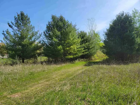 32 Acres Three Rivers, Gladwin, MI 48624 photo 3