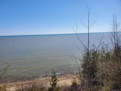 Vl S Lakeshore, Harbor Beach, MI 48441