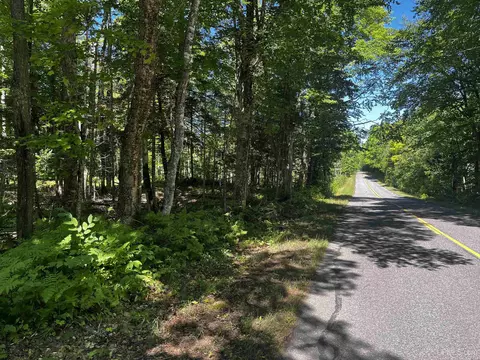 40 Acres Dukes, Skandia, MI 49885