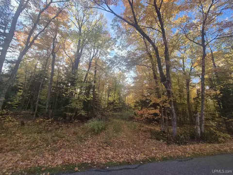 40 Acres Dukes, Skandia, MI 49885