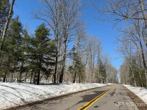 40 Acres Dukes, Skandia, MI 49885