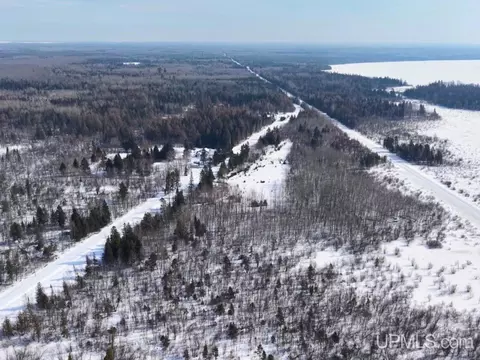 30 Acres Parkington, Gulliver, MI 49840