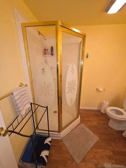 Bath - 5700 Royal Ct, Butman, MI 48624 photo 4 of 5