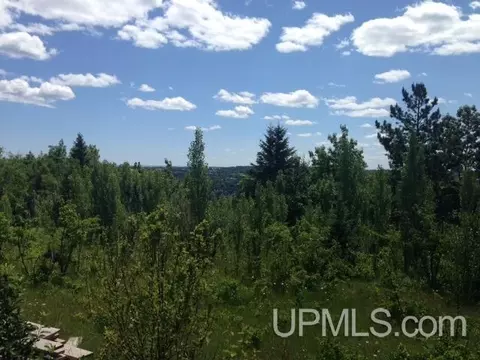 tbd Ingot, Hancock, MI 49930 photo 9