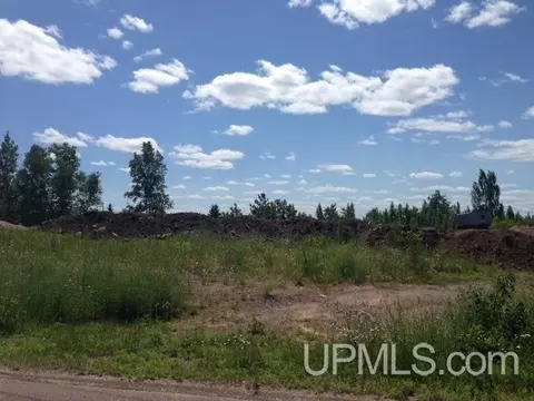 tbd Ingot, Hancock, MI 49930 photo 5