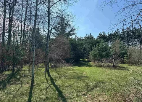 tbd N Loomis, Clare, MI 48617