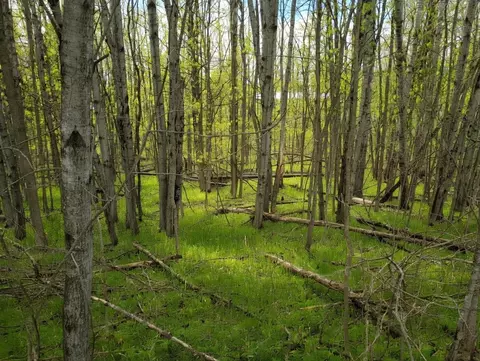 lot56 Linksview, Gladwin, MI 48624
