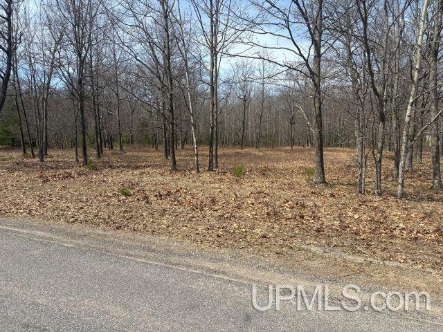 62 Oak Dr, Gladstone, MI 49837