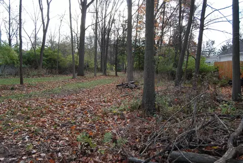 503 Dutch Ml, Flushing, MI 48433 photo 11