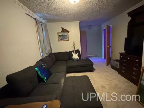 Living - 113 Chestnut, Munising, MI 49862 photo 3 of 3