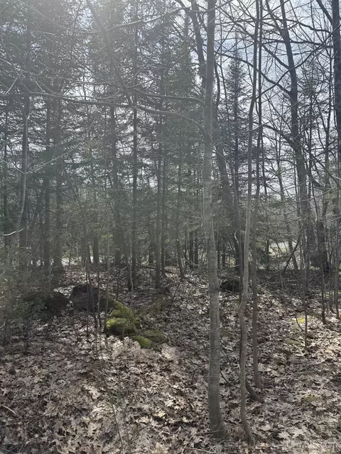 tbd 4-10 Firesteel, Ontonagon, MI 49953