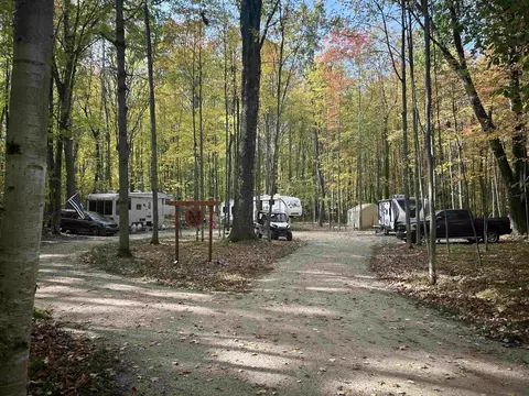 4330 Buckeye, Farwell, MI 48622