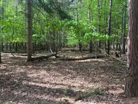 00 Mortimer Line, Croswell, MI 48422