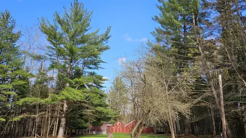 Exterior - 1080 N Hockaday, Gladwin, MI 48624 photo 25 of 26