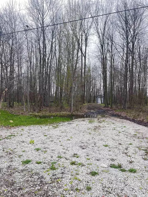 Fox Ridge, Allenton, MI 48002 photo 7