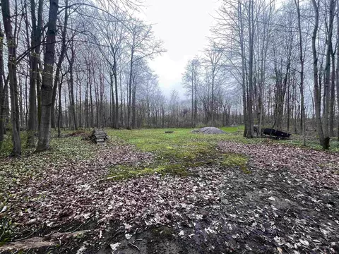 Fox Ridge, Allenton, MI 48002 photo 5
