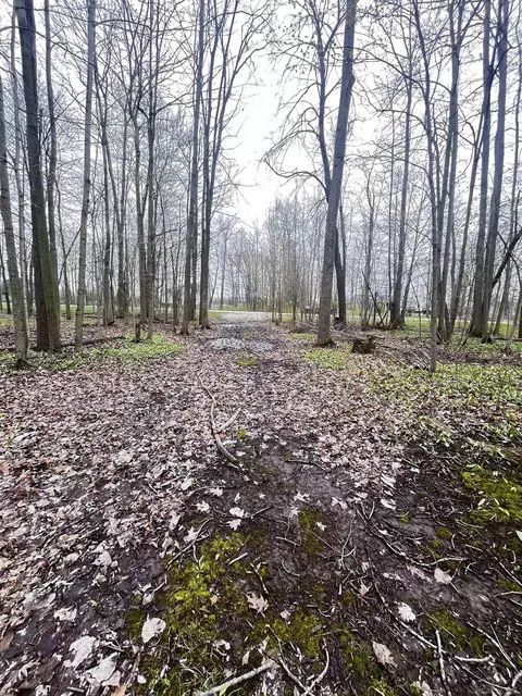 Fox Ridge, Allenton, MI 48002 photo 3