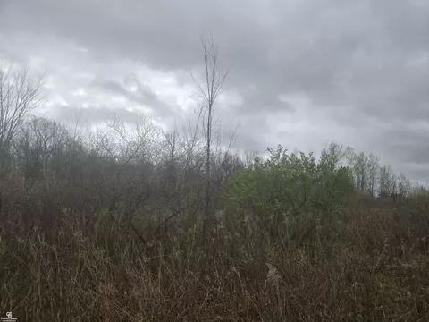 5637 Metcalf Vl, Clyde, MI 48049 photo 6