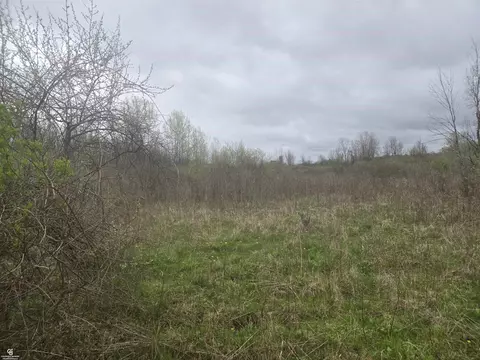 5637 Metcalf Vl, Clyde, MI 48049 photo 8