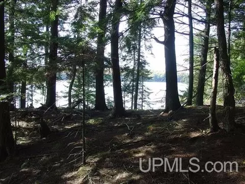 On Channel #1, Watersmeet, MI 49969