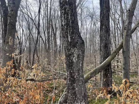 tbd Peninsula Acres, Manistique, MI 49854