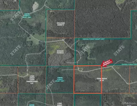 tbd Off Cr 557 40, Arnold, MI 49819