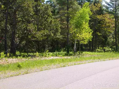 lot2 S Eliza Crk, Eagle Harbor, MI 49950