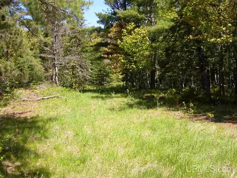 lot29 N Eliza Crk, Eagle Harbor, MI 49950