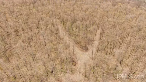 tbd Hupp, Vulcan, MI 49892 photo 5