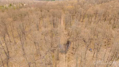 tbd Hupp, Vulcan, MI 49892 photo 6
