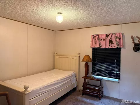 Bedroom - 11624 Delbert, Long Lake, WI 54542 photo 3 of 3