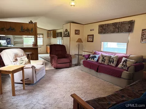 Living - 11624 Delbert, Long Lake, WI 54542 photo 2 of 3