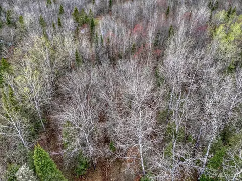 View/Area - 11624 Delbert, Long Lake, WI 54542 photo 10 of 11